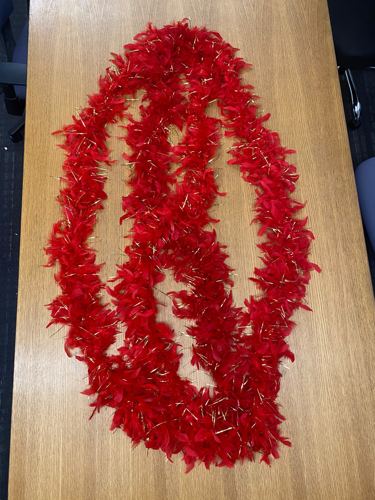 Download the full-sized PDF of Photo of Red and Gold Feather Boa