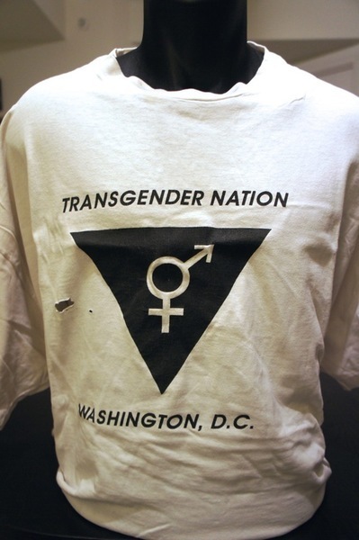 Download the full-sized image of Transgender Nation