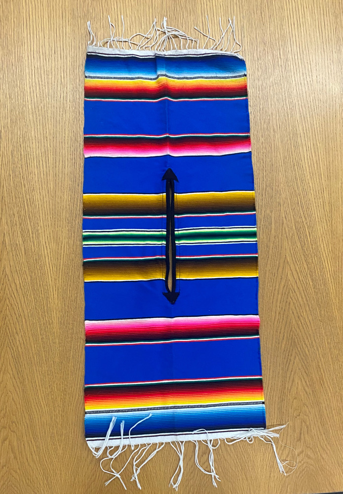 Download the full-sized PDF of Photo of multicolored poncho