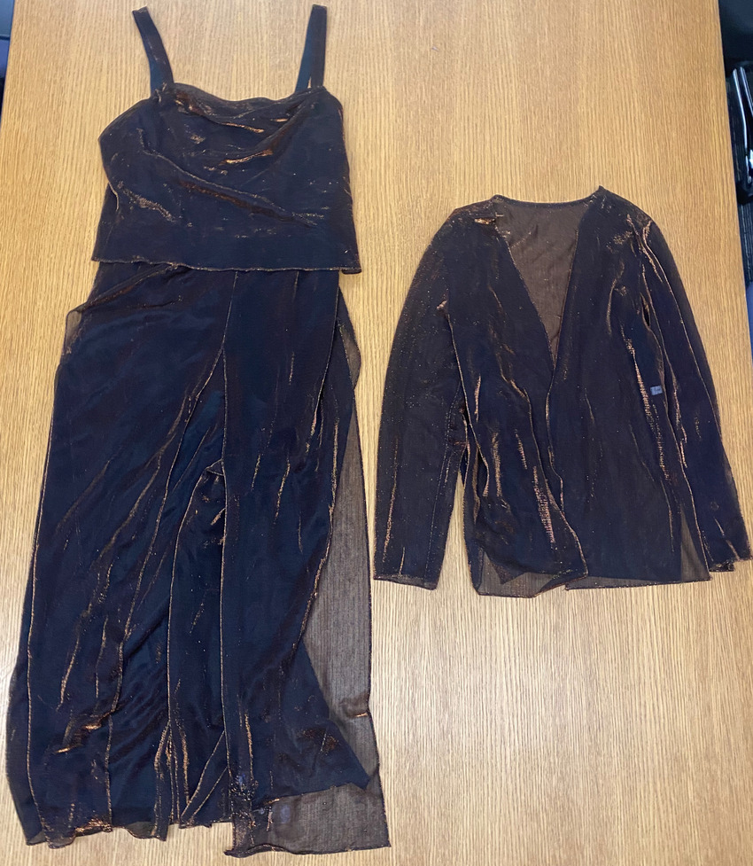 Download the full-sized PDF of Photo of Bronze Mesh Dress and Jacket