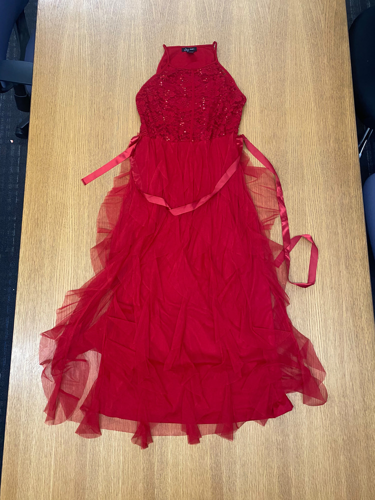 Download the full-sized PDF of Photo of Red Sparkly Dress