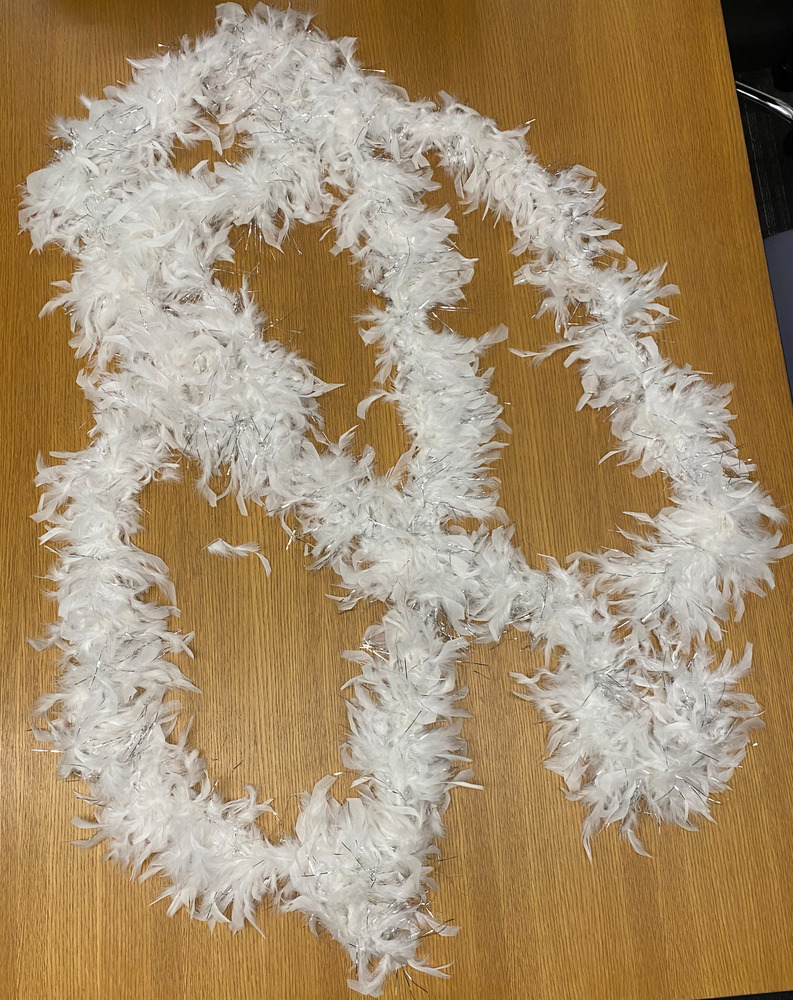 Download the full-sized PDF of Photo of White Feather Boa
