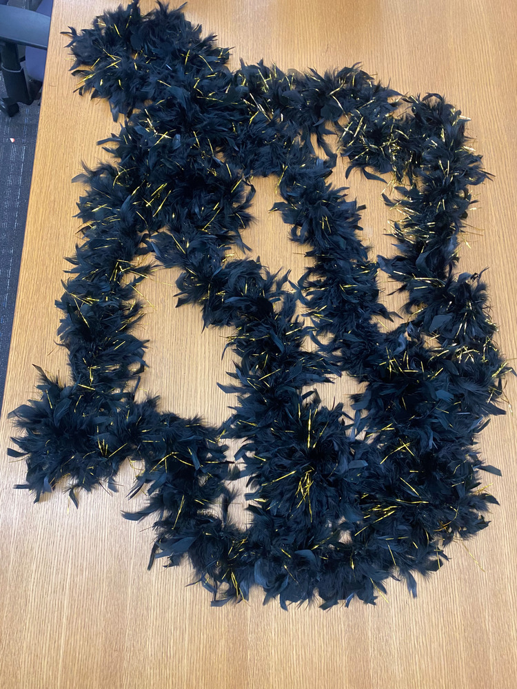 Download the full-sized PDF of Photo of Black and Gold Feather Boa