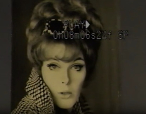 Download the full-sized image of Aleshia Brevard interview, part 2