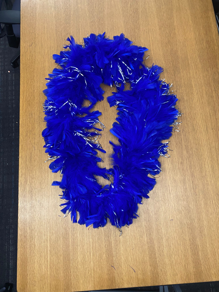 Download the full-sized PDF of Photo of Blue and Silver Feather Boa