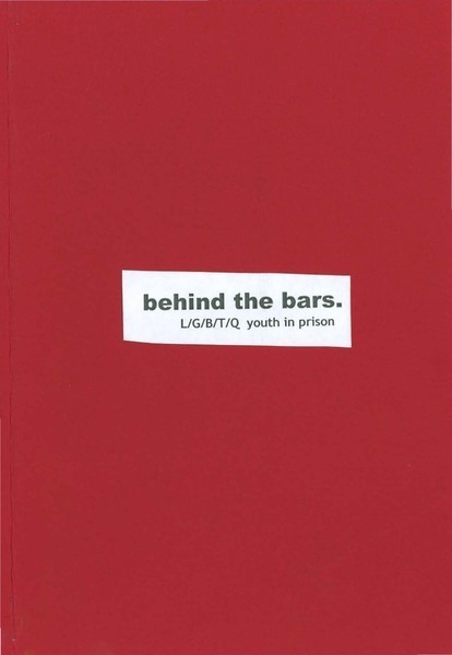 Download the full-sized image of behind the bars. L/G/B/T/Q youth in prison