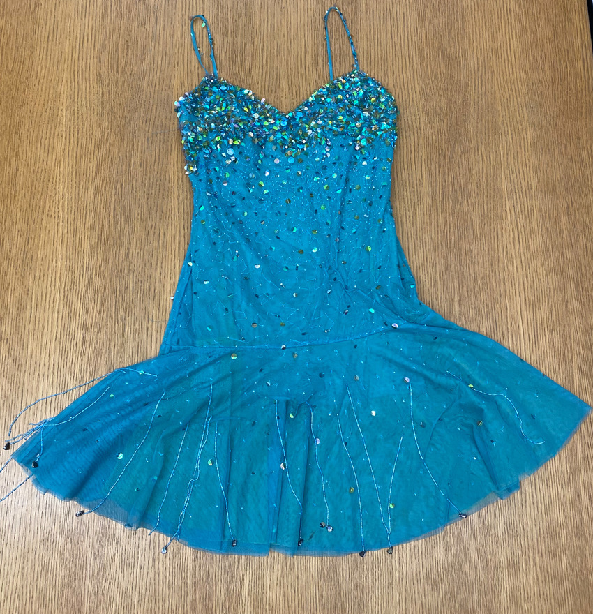 Download the full-sized PDF of Photo of Blue Sequined Mini Dress