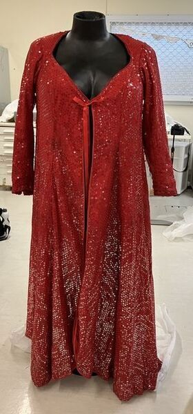 Download the full-sized image of Red Sequin Cape