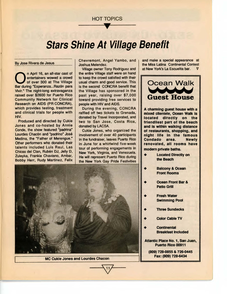 Download the full-sized PDF of Stars Shine at Village Benefit