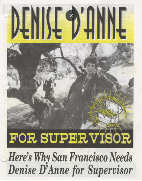 Download the full-sized image of Board of Supervisors Campaign Mailer