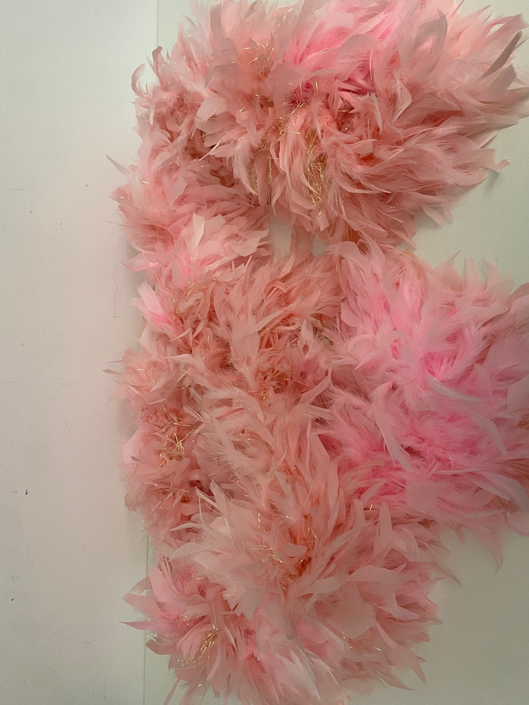 Download the full-sized PDF of Photo of Pink and Gold Feather Boa
