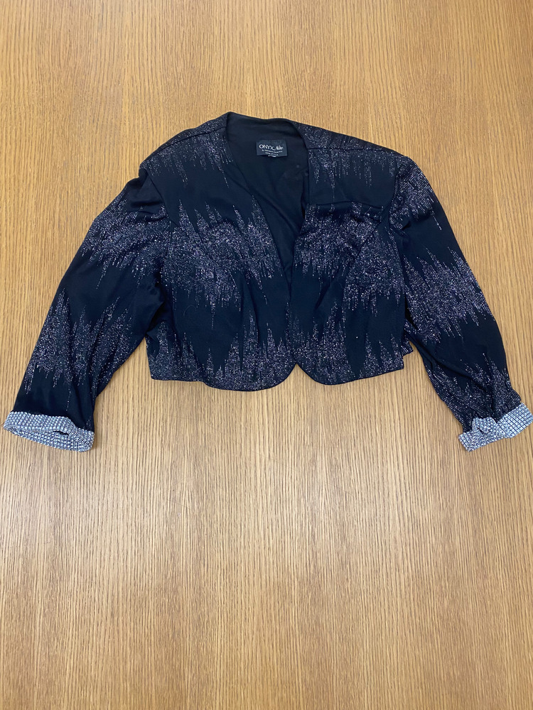 Download the full-sized PDF of Photo of Black Sparkly Jacket