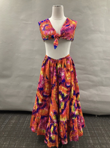 Download the full-sized image of Multicolor Top and Skirt