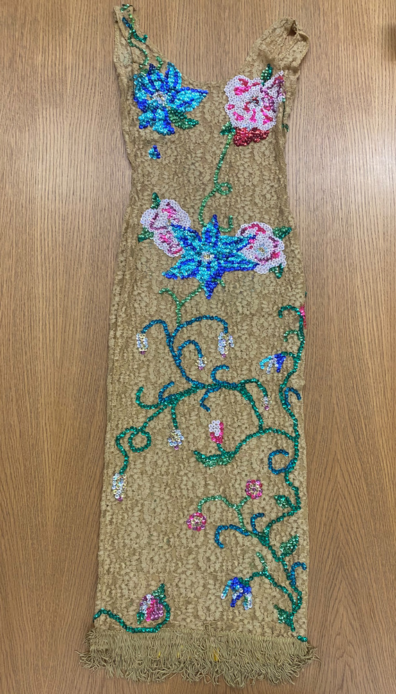 Download the full-sized PDF of Photo of Sequined Floral Dress