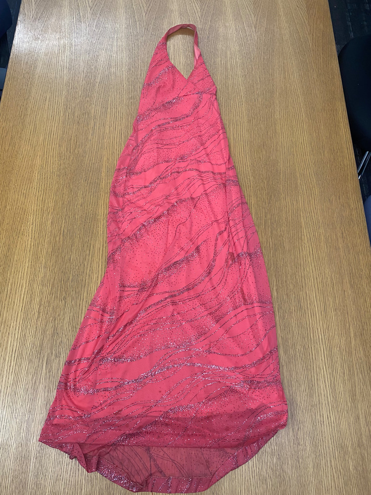 Download the full-sized PDF of Photo of Pink Glittery Dress