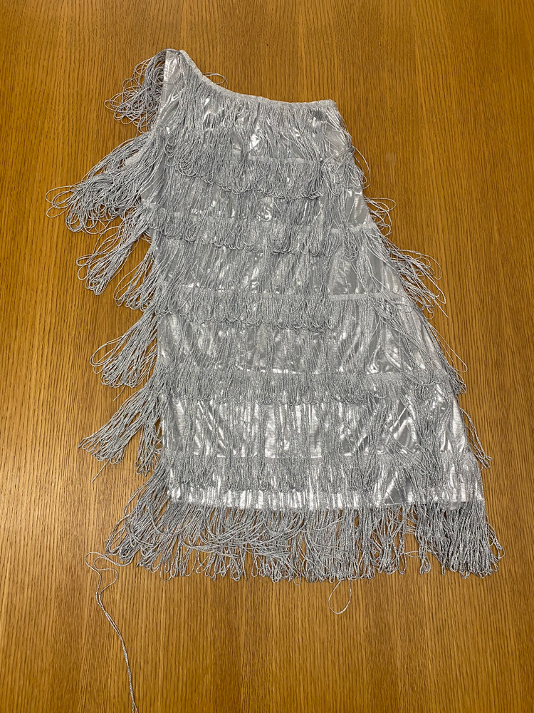 Download the full-sized PDF of Photo of Silver Fringe Dress
