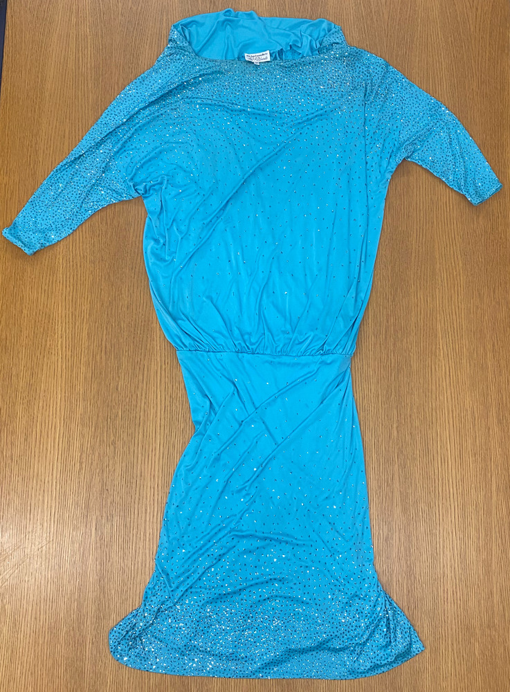 Download the full-sized PDF of Photo of Blue Sparkly Dress