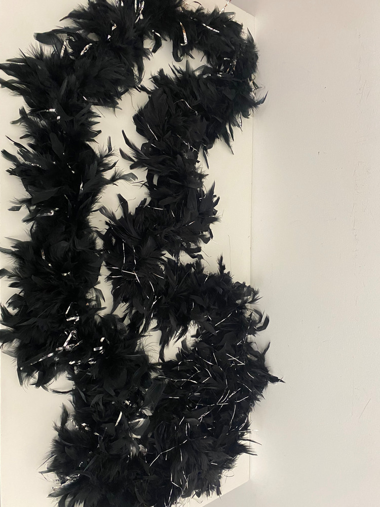 Download the full-sized PDF of Photo of Black and Silver Feather Boa