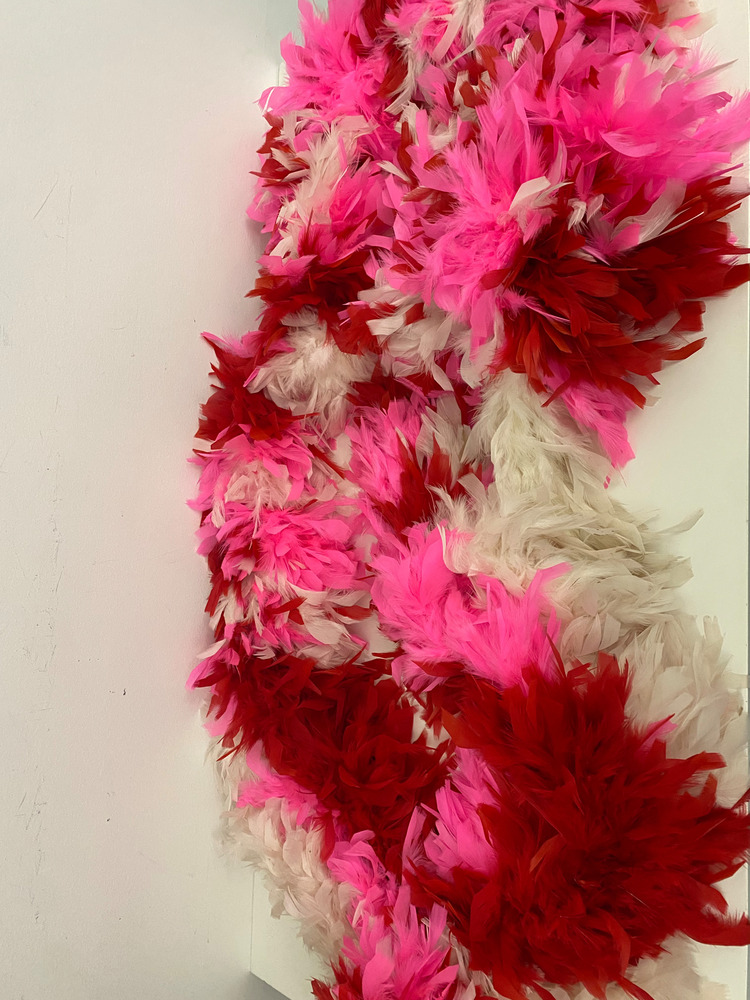 Download the full-sized PDF of Photo of Red, Pink, and White Boa