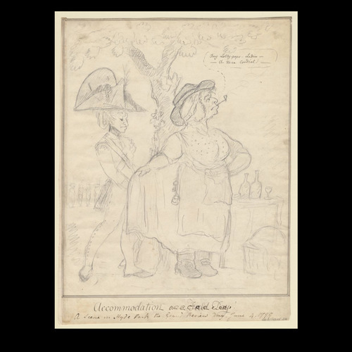 Download the full-sized image of Accommodation! Or a Field Day! A scene in Hyde Park the Grand Review Day, June 4, 1799