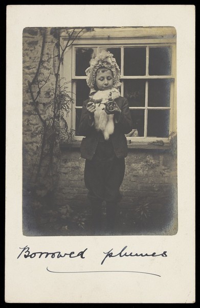 Download the full-sized image of A boy dressed as a girl, wearing a bonnet; playing with a toy chariot. Photographic postcard, 1904.